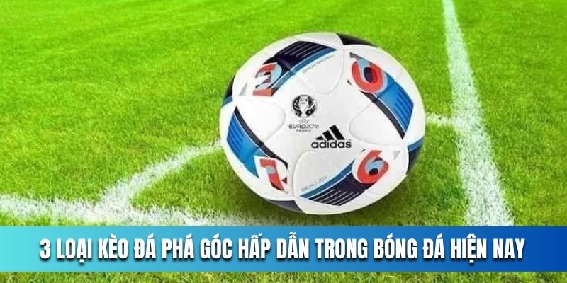 3-loai-keo-da-pha-goc-hap-dan-trong-bong-da-hien-nay