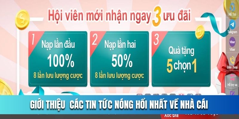 gioi-thieu-ok365-bang-cac-tin-tuc-nong-hoi-nhat