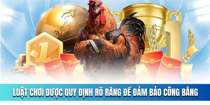 luat-choi-duoc-quy-dinh-ro-rang-de-dam-bao-cong-bang