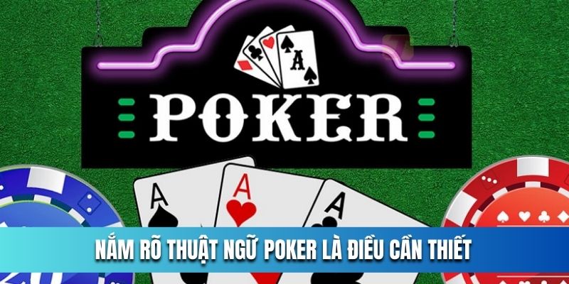 ly-do-ban-can-nam-ro-cac-thuat-ngu-poker