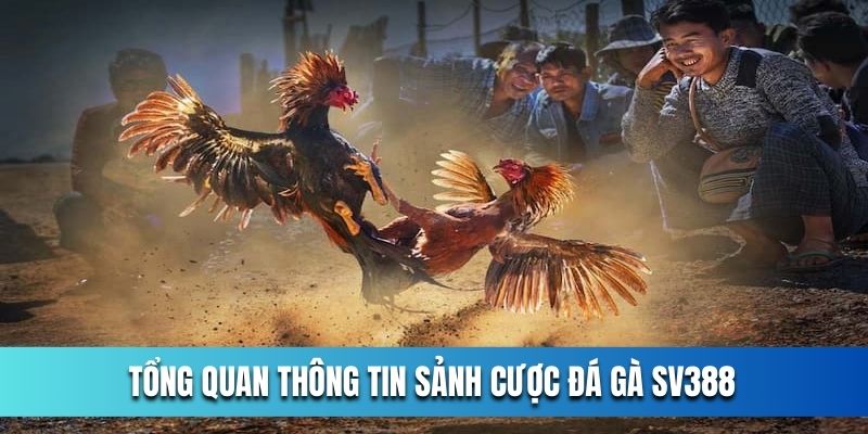 tong-quan-thong-tin-sanh-cuoc-da-ga-sv388