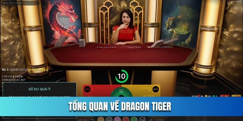 tong-quan-ve-dragon-tiger