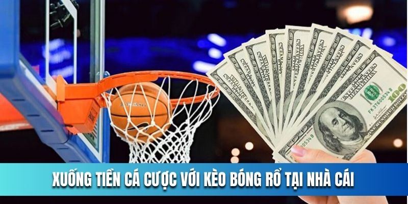 xuong-tien-cung-keo-bong-ro-trong-nha-cai-ok365